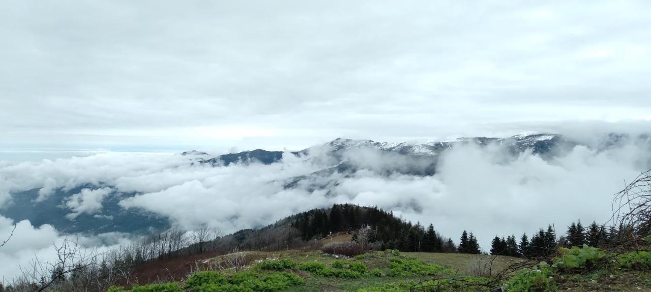 Erdem Apart Otel Trabzon Exterior photo